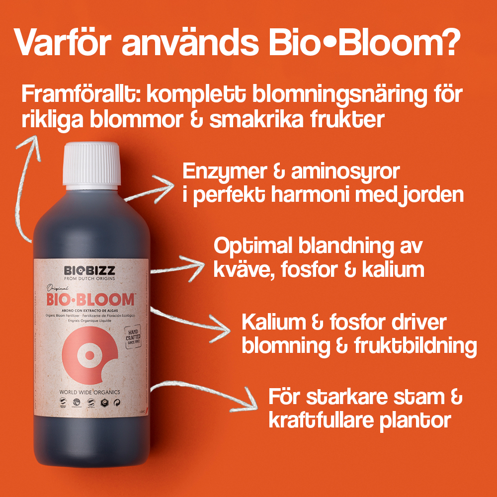 BioBizz Bio⋅Bloom - 2