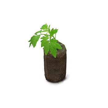 Jiffy-7 Pellets