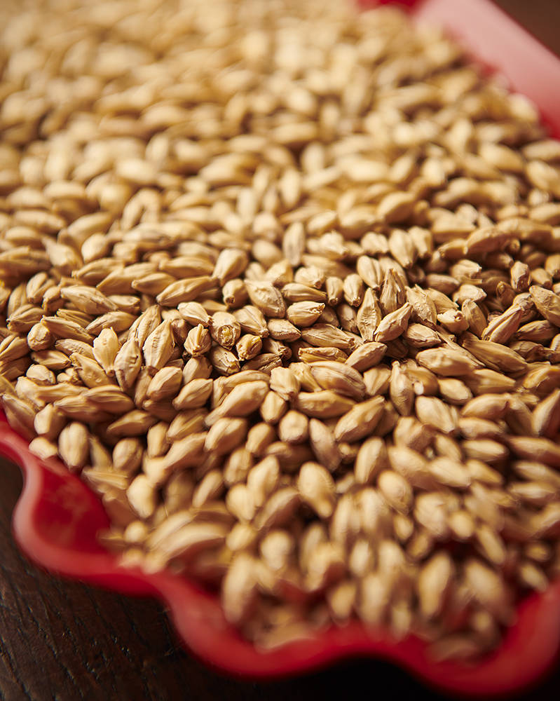 Munich Malt 1 (Weyermann®), hel, 25 kg - 2