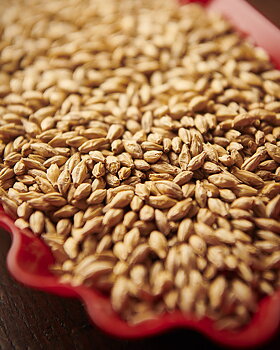 Munich Malt 1 (Weyermann®), hel, 1 kg