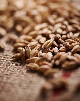 melanoidinmalt (Weyermann®), hel, 1 kg