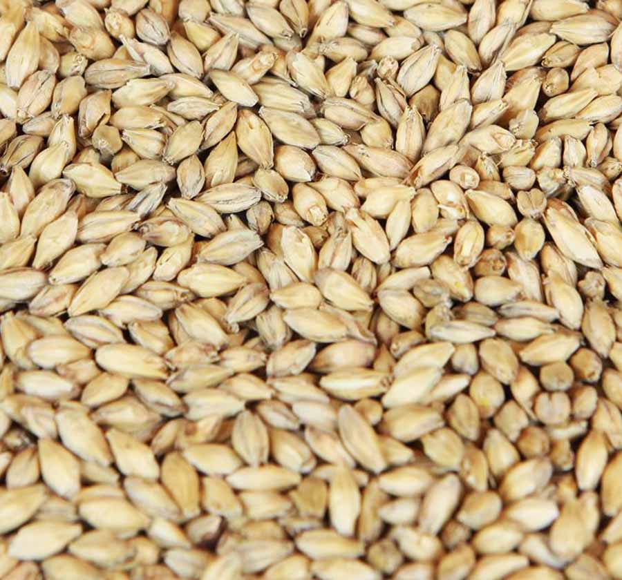 syremalt (Weyermann®), hel, 1 kg - 5