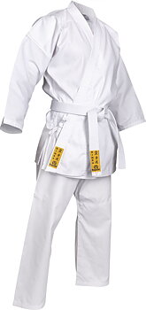 Hayashi Kinsa Karate GI Vit