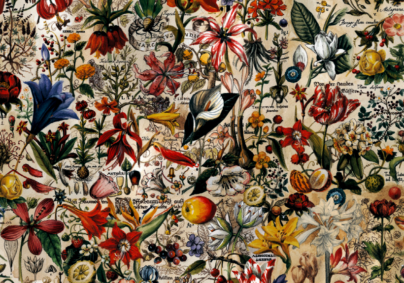 Botanic