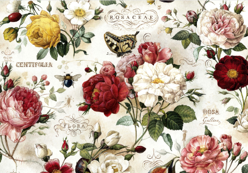 Roses