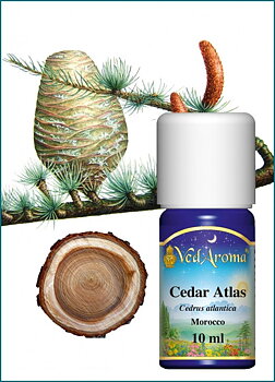 Cedarwood atlas essential oil org. 10 ml