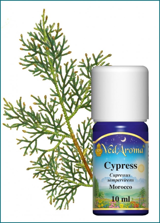 Cypress essential oil org. 10 ml