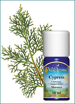 Cypress essential oil org. 10 ml