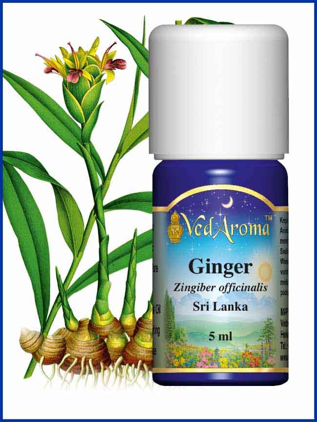 Ingefära eterisk olja eko. 5ml