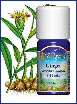 Ginger essential oil org. 5 ml