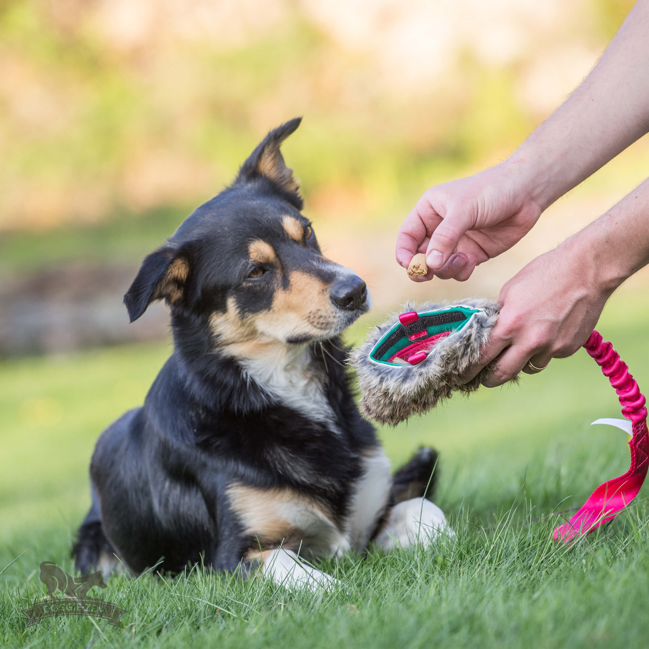 Bungee Treat Tug Rabbit  M - 2