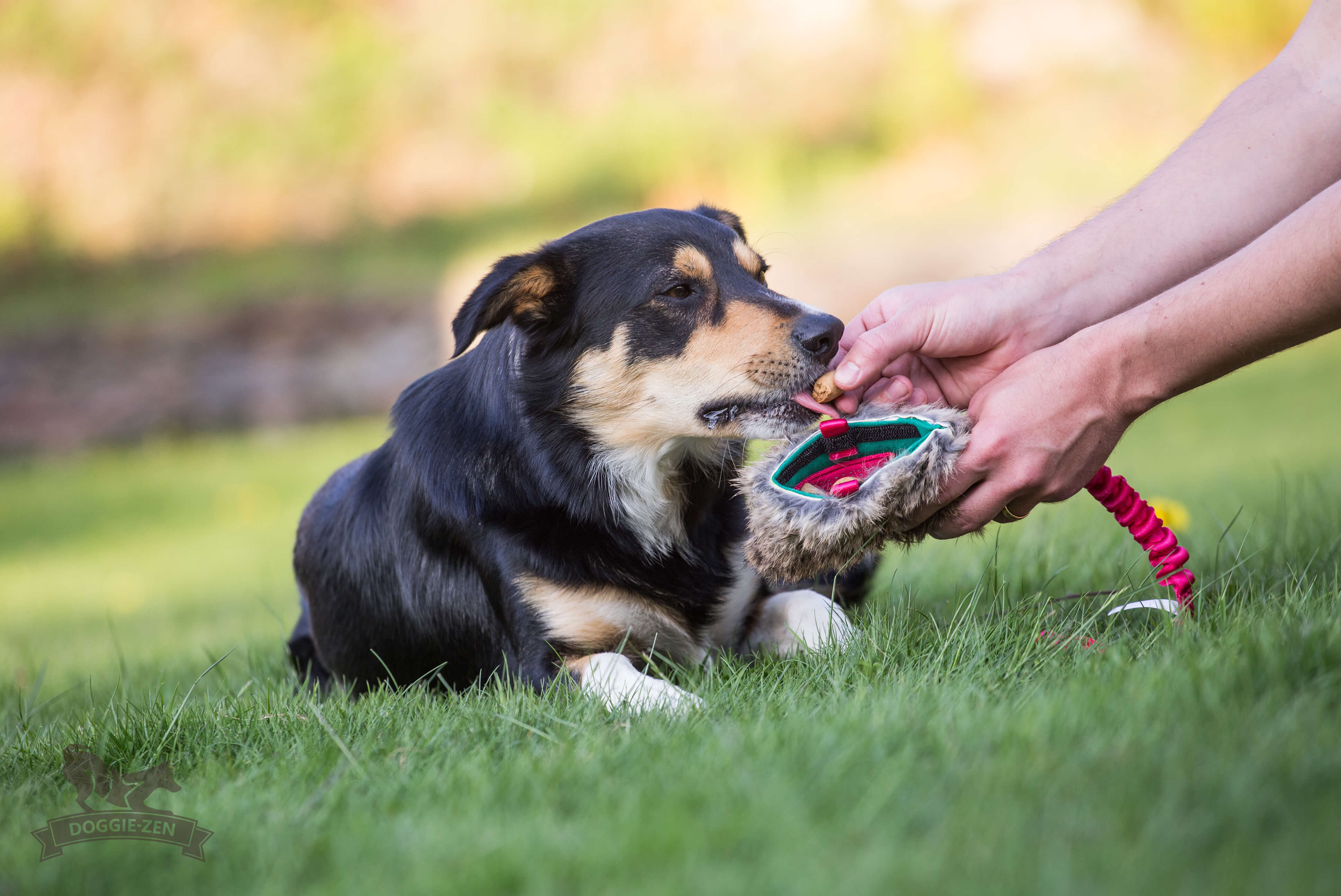 Bungee Treat Tug Rabbit  M - 4