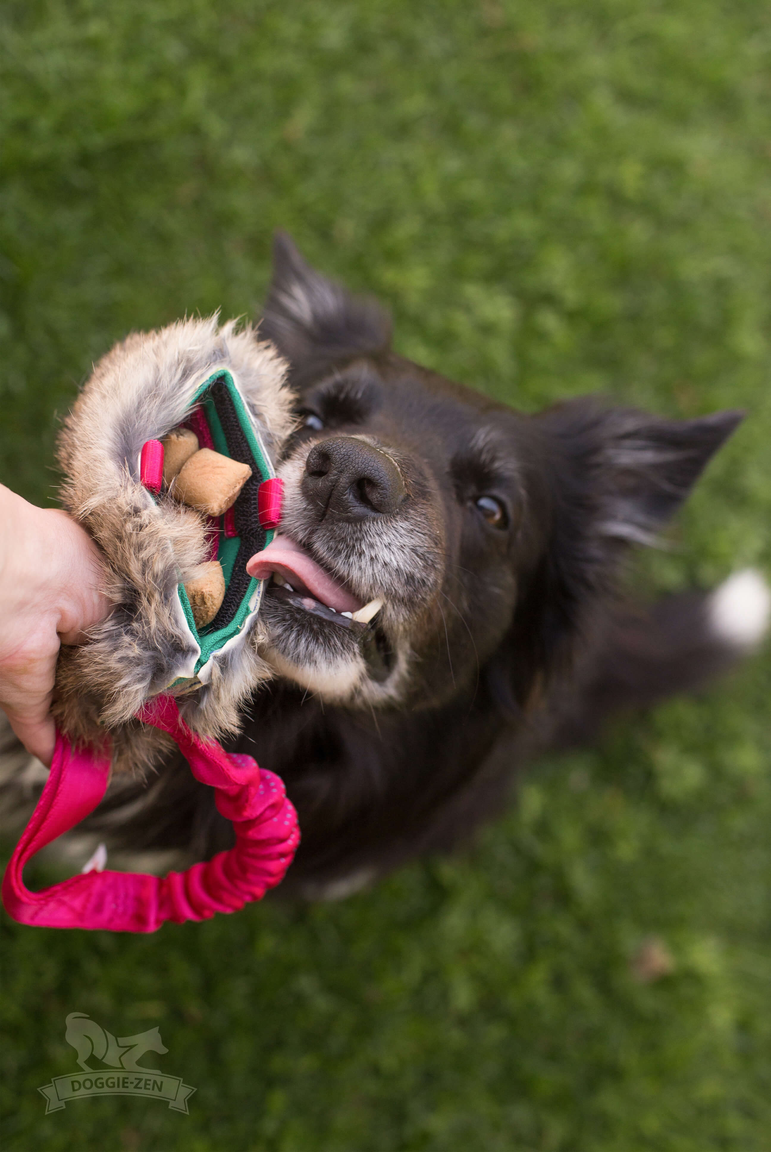 Bungee Treat Tug Rabbit  M - 6