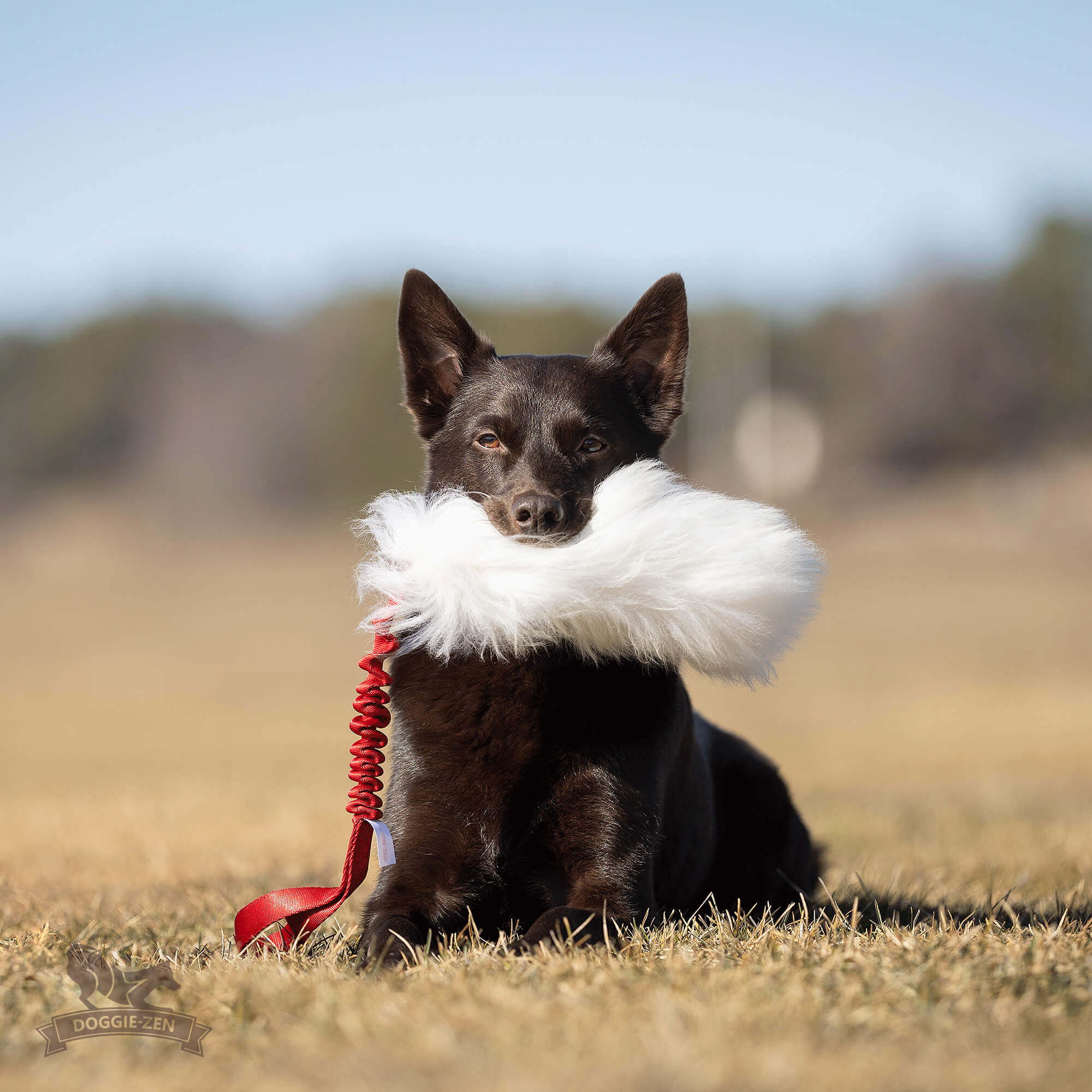 Bungee Sheepskin Tug M - 3