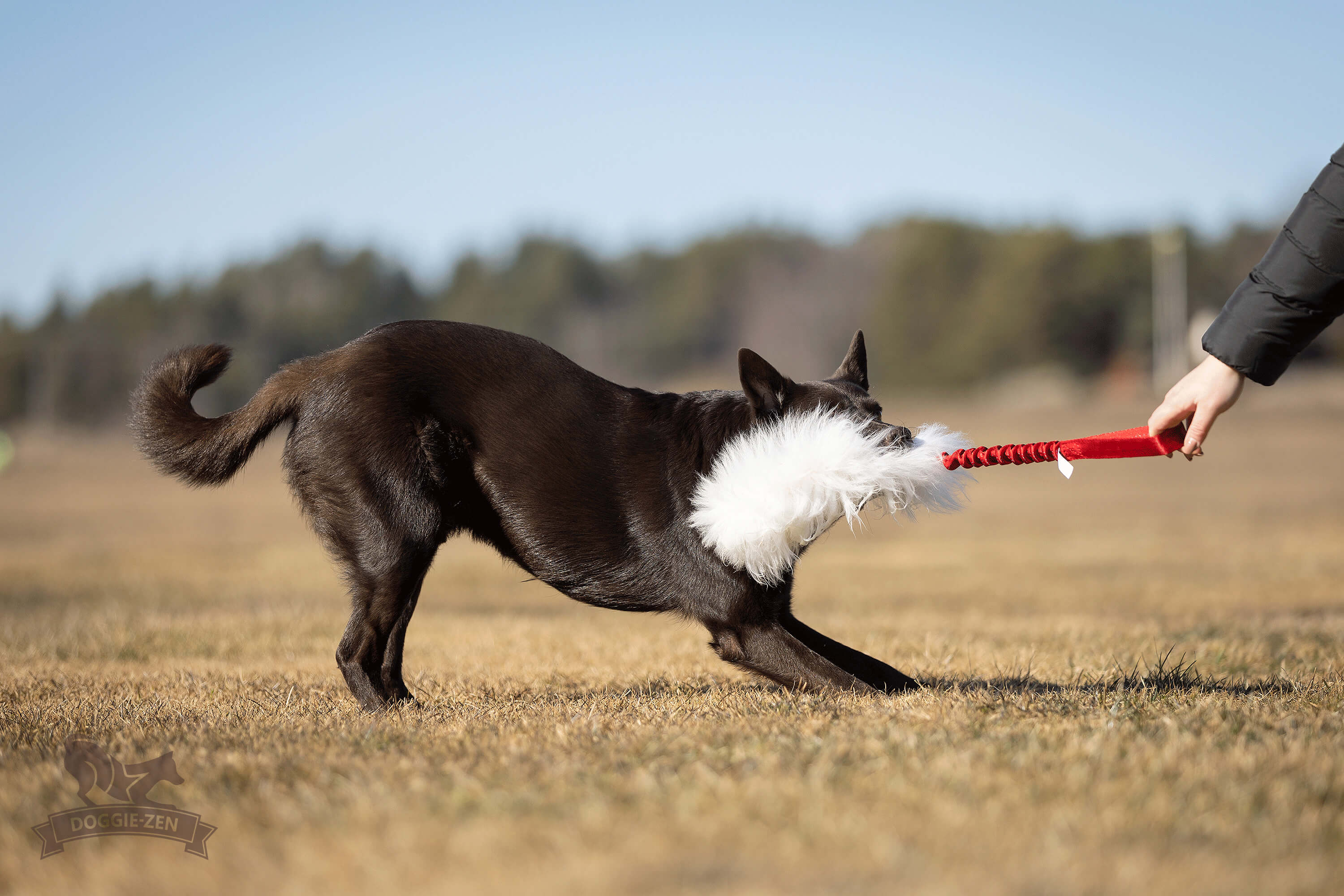Bungee Sheepskin Tug M - 4