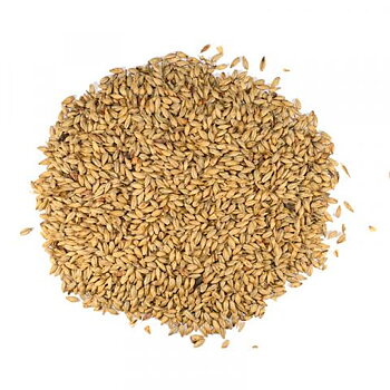 Biscuit malt (Dingemans), hel, 25 kg