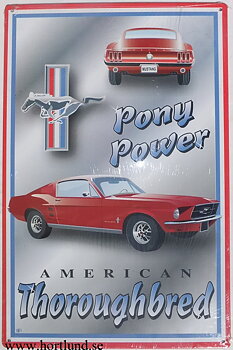 Mustang Pony Power