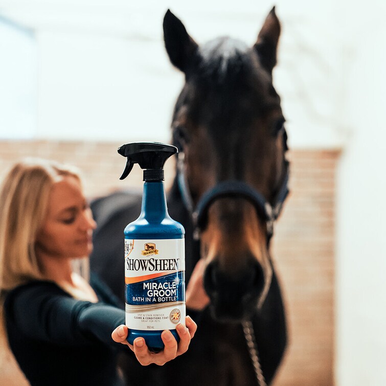 ABSORBINE 5-IN-1 MIRACLE GROOM BATH IN A BOTTLE - 2