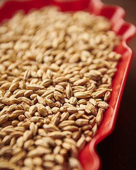 wienermalt (Weyermann®), hel, 25 kg