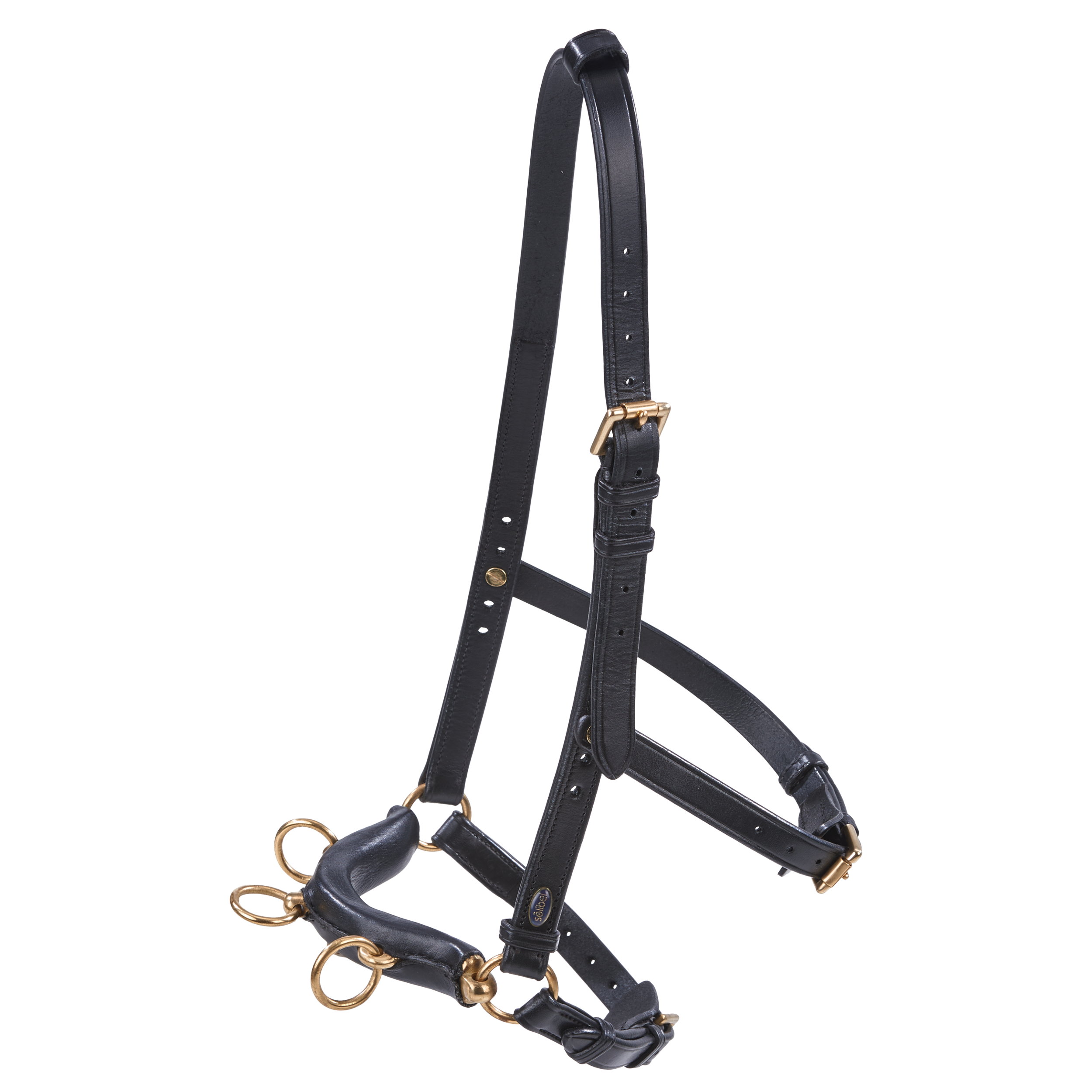 Cavesson PRO with bit attachments, pony - 2