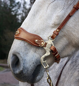 Hackamore shanks - Baroque, gold