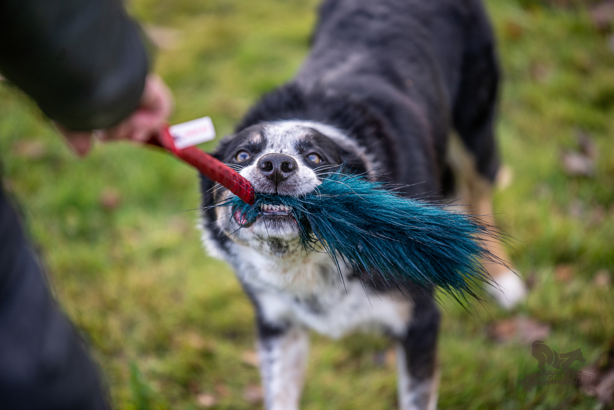 Bungee Fake Fur Tug L - 5