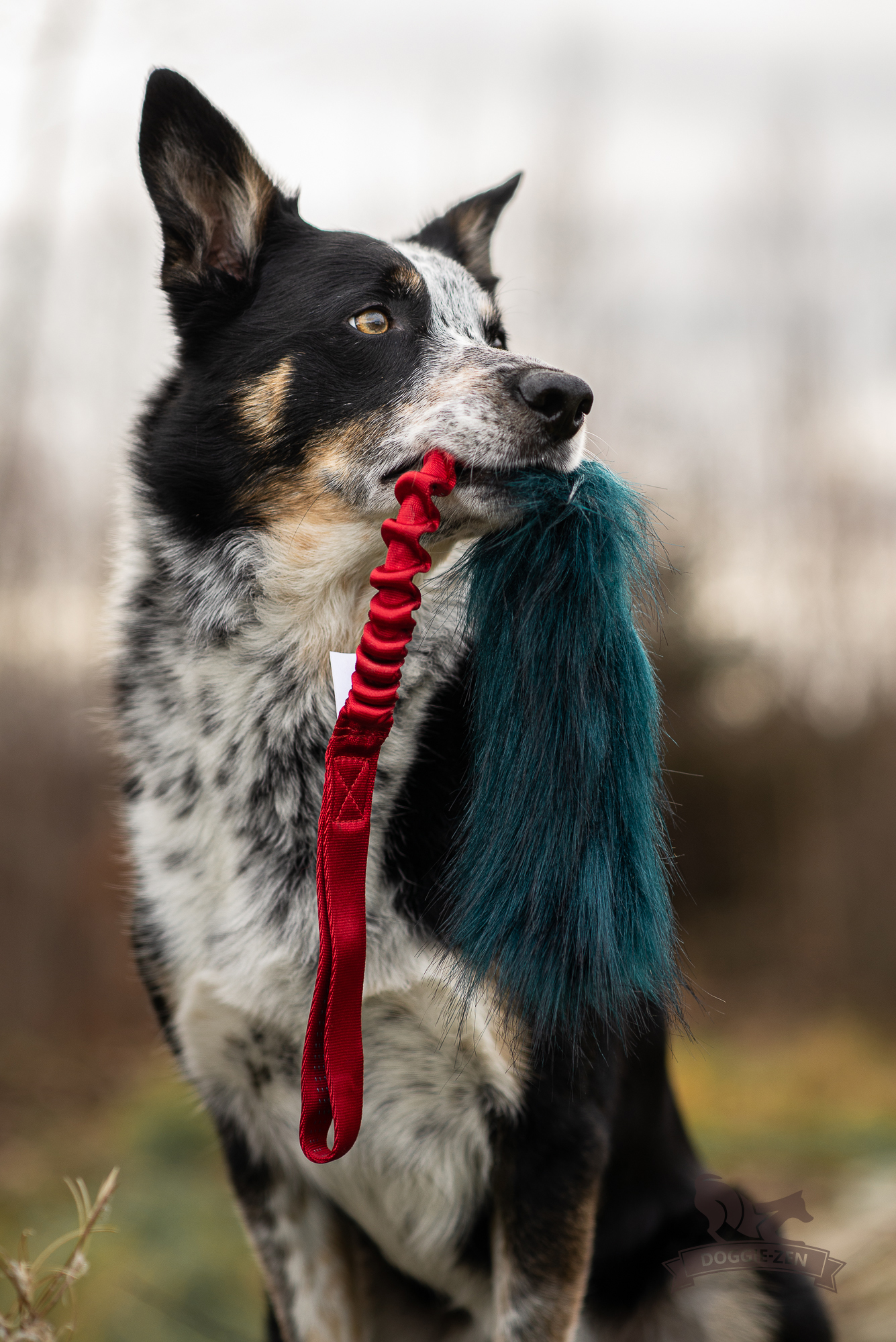 Bungee Fake Fur Tug L - 3