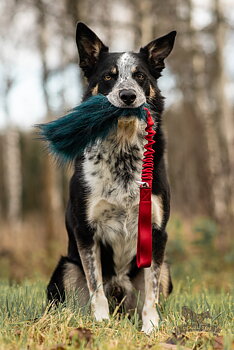 Bungee Fake Fur Tug L