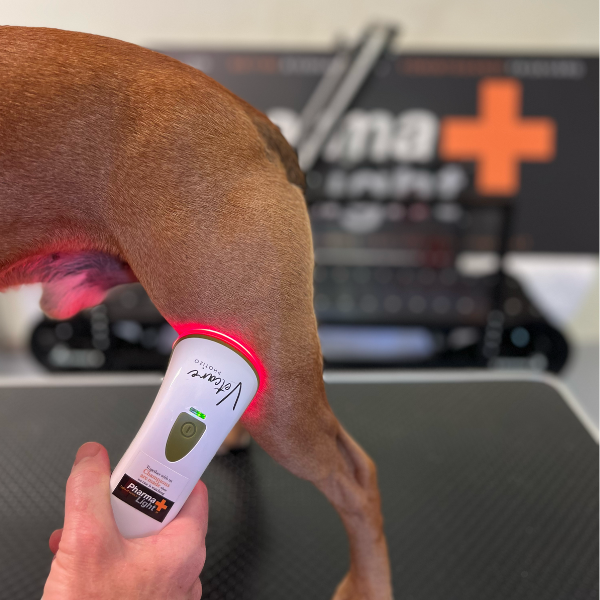 Photizo Vetcare LED-lysterapi/LED-LLLT  - 9