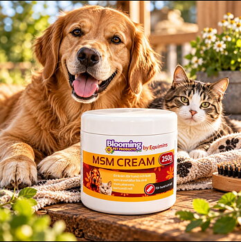   Bloomingpets Msm - kräm  250 g