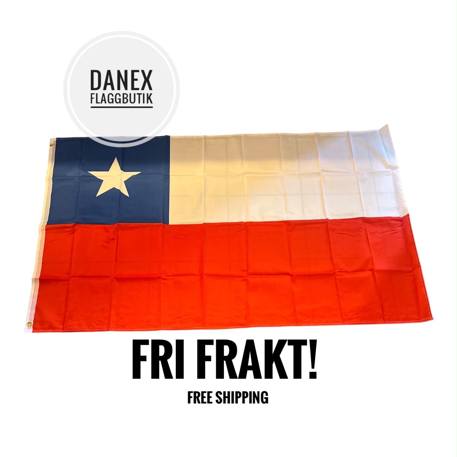 Nationsflagga Chile 