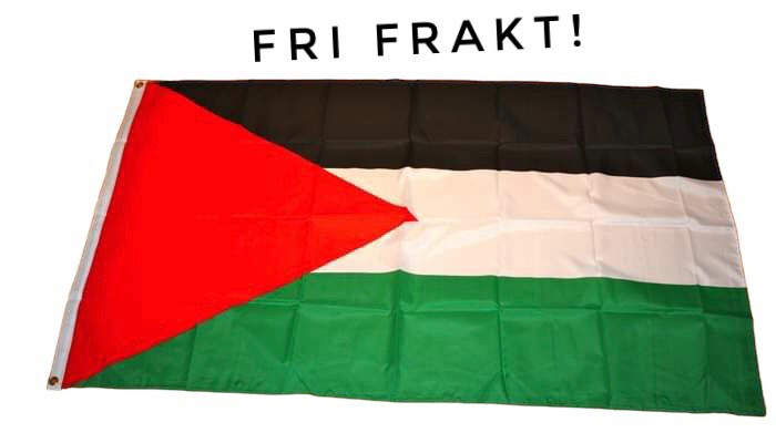 Nationsflagga Palestina  - 3