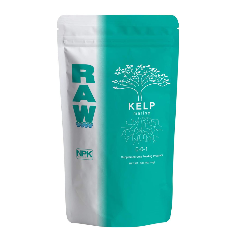 RAW Kelp 57g