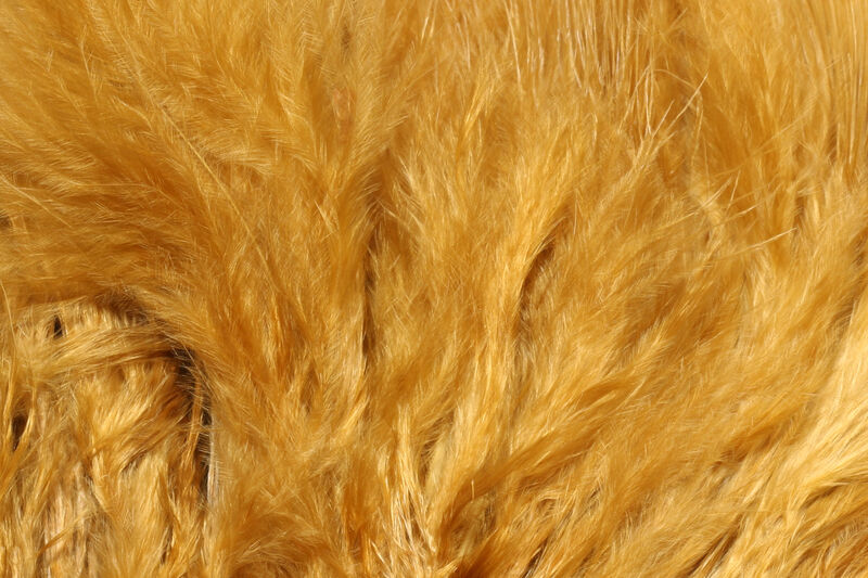 X-Select Marabou - 24