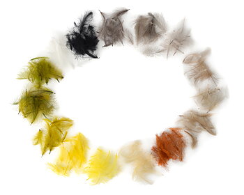 Cul De Canard Feathers (Fly Dressing)