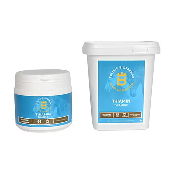 ECLIPSE BIOFARMAB THIAMIN
