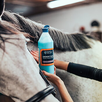 ECLIPSE BIOFARMAB LINIMENT BLUE