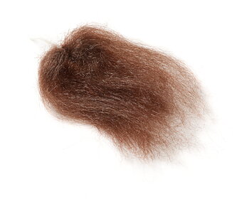 Ghost Hair