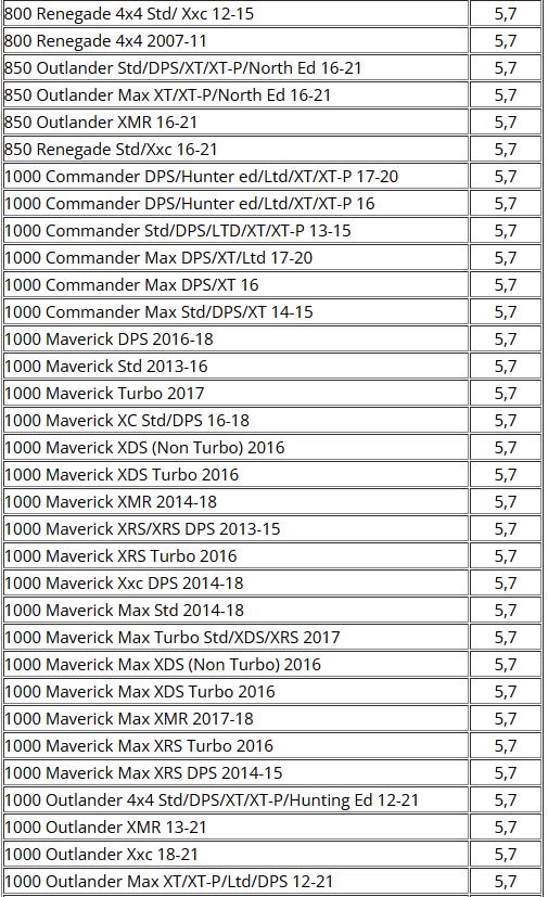 EPI Knutkors Bakre Can Am 2006-2020 (WE100997) - 4