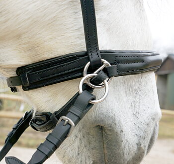 Bitless Sidepull ScawBrig inkl. tyglar (ponny upp till X-Full!)