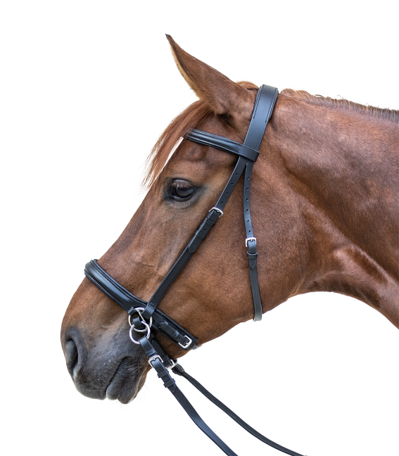 Bitless Sidepull ScawBrig inkl. tyglar (ponny upp till X-Full!) - 2
