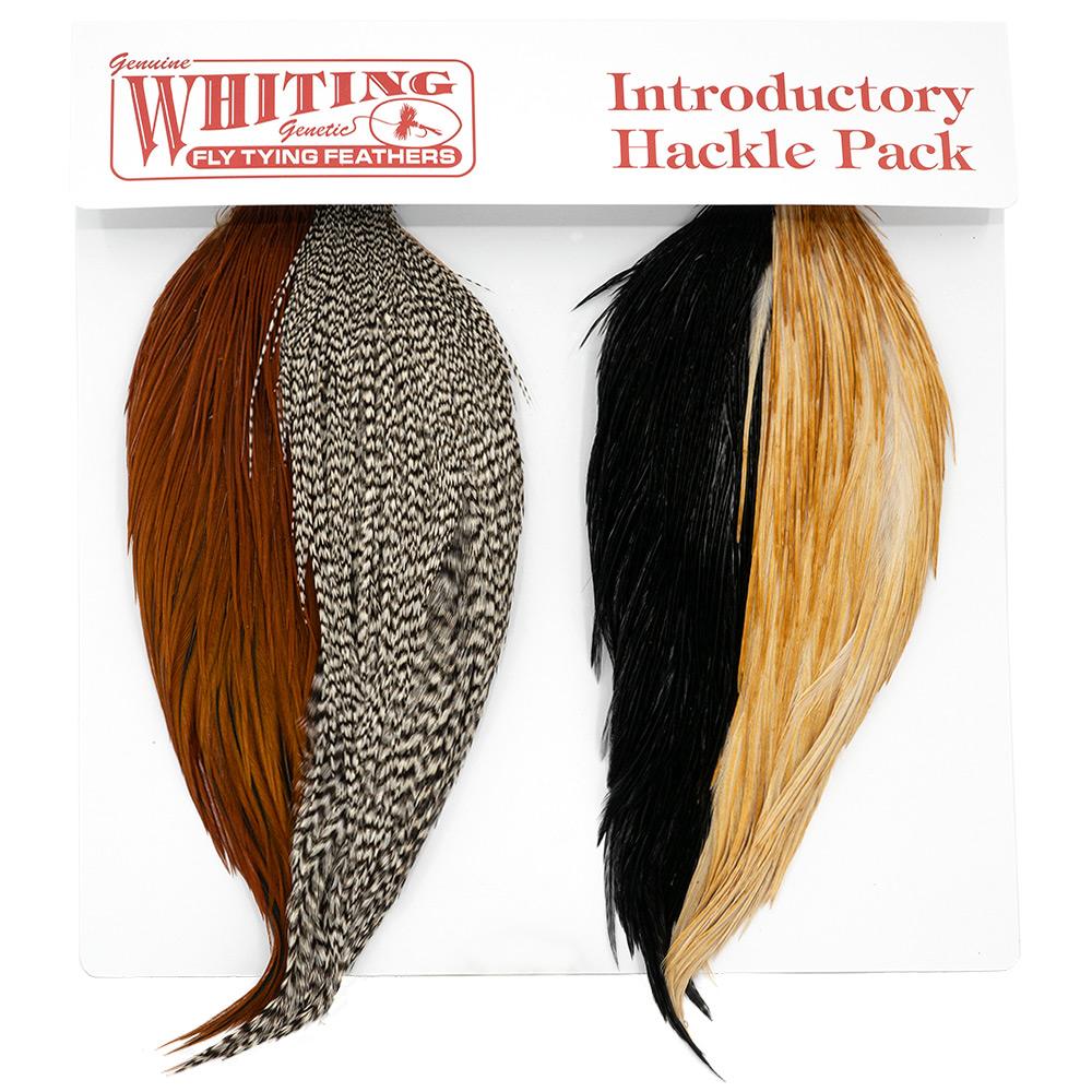 Whiting Introductory Pack - 3