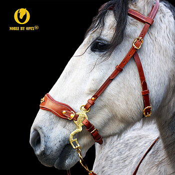 Hackamore bridle Noble by Opux®, havana