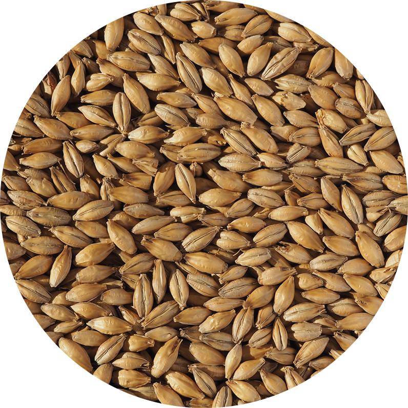 Extra Pale Malt (Crisp), whole, 25 kg