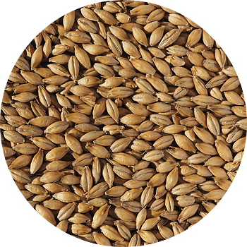 Extra Pale Malt (Crisp), whole, 25 kg