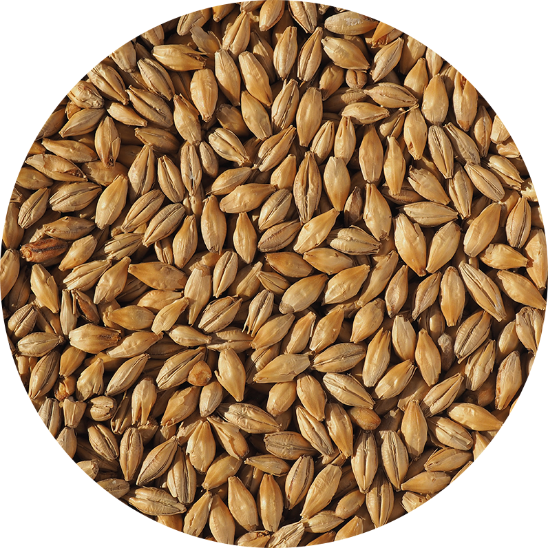 Dextrin Malt (Crisp), hel, 25 kg