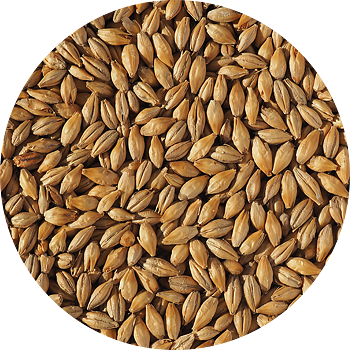 Dextrin Malt Crisp, hel malt, 25 kg