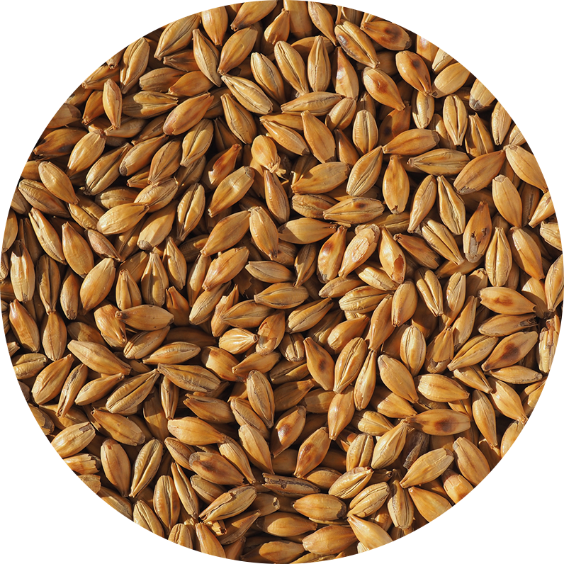 Cara Malt (Crisp), whole, 25 kg