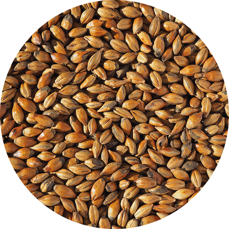 Brown Malt (Crisp), whole, 25 kg