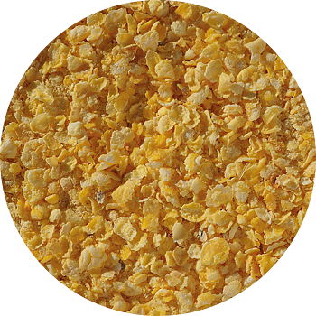 Flaked Torrefied Maize Crisp, omältad majs, 25 kg